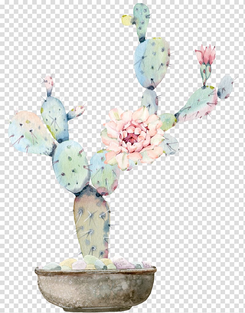 multicolored cactus illustration, Watercolour Flowers Watercolor painting Cactaceae Drawing, Water color flower, green plant cactus transparent background PNG clipart