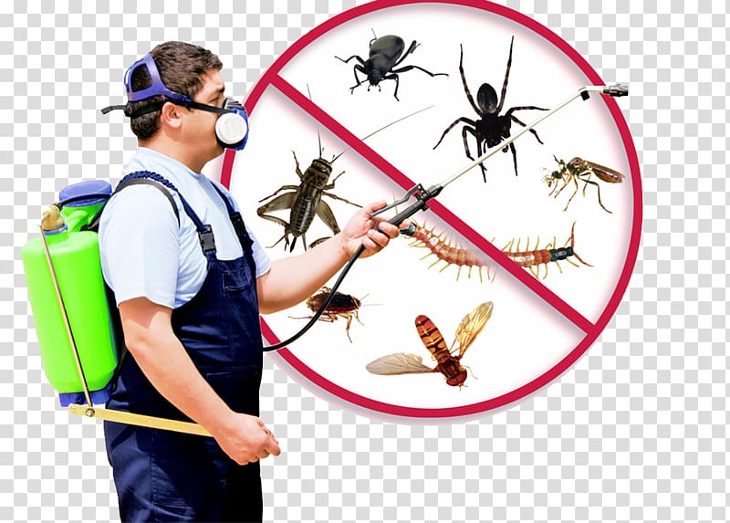 Mosquito Cockroach Pest Control Fumigation, car service transparent background PNG clipart