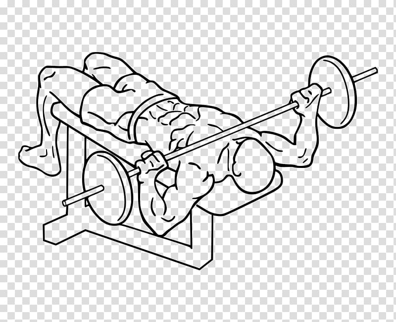 Bench press Fly Weight training Dumbbell, fly transparent background PNG clipart