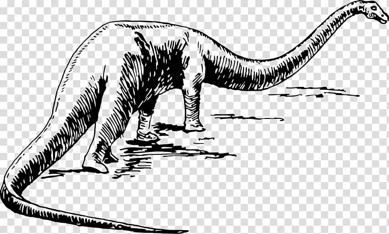 Dinosaur Drawing Sauropoda Brontomerus, dinosaur transparent background PNG clipart