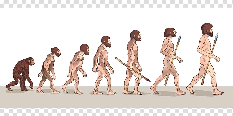 Neanderthal Human evolution The evolution of man, archaic humans transparent background PNG clipart