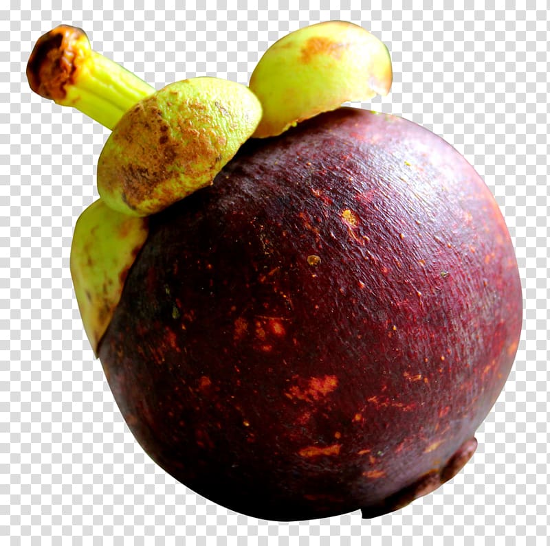 mangostein fruit, Purple mangosteen, Purple Mangosteen transparent background PNG clipart