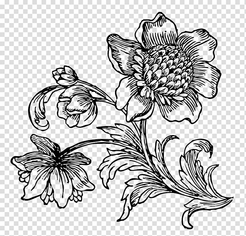 Floral design Drawing Line art Visual arts Monochrome, flower transparent background PNG clipart