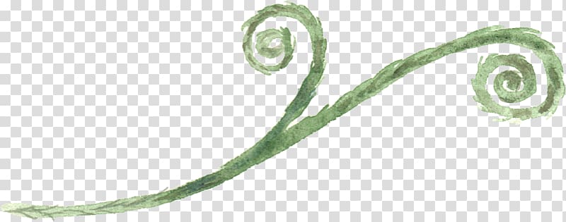 green spiral plant , Watercolor painting Drawing, Hand-painted watercolor leaves transparent background PNG clipart