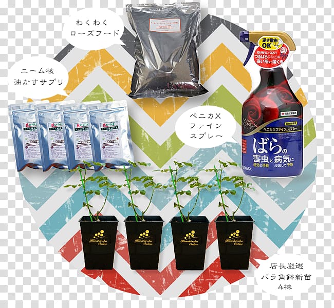 Hana Square online (Ltd.) Horticulture Niwaki Lady Banks\' rose 苗木, fukubukuro transparent background PNG clipart