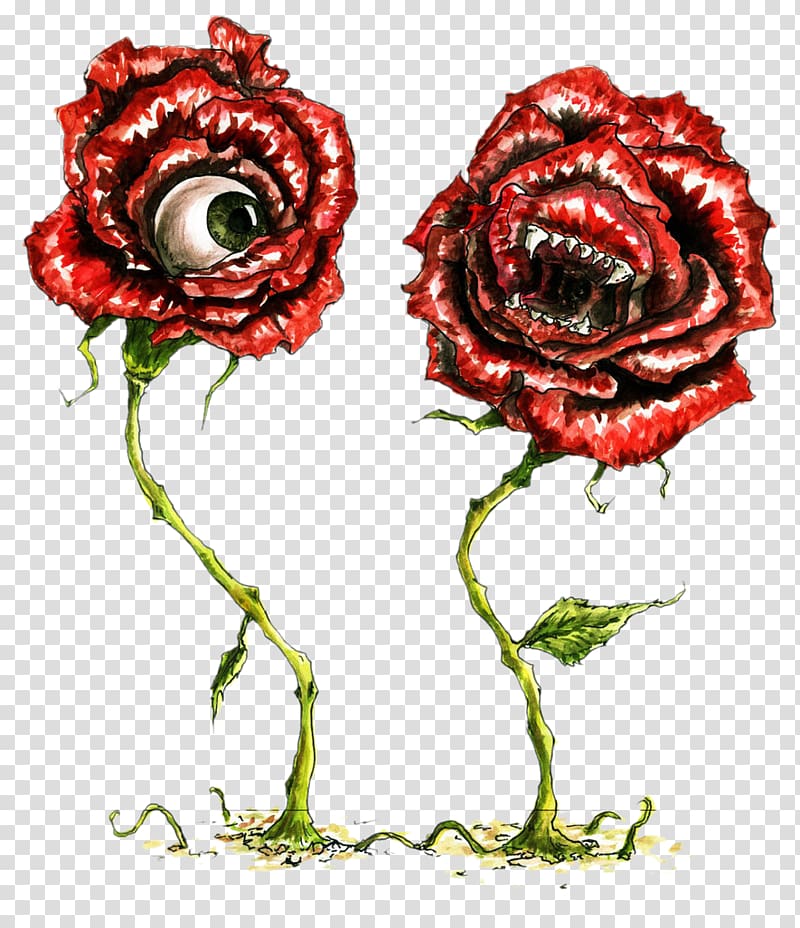 Garden roses Eye Beach rose Flower, Long with the eyes and mouth of the roses transparent background PNG clipart