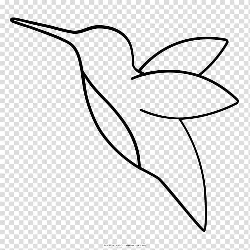 Hummingbird Drawing Beak Black and white , flower transparent background PNG clipart