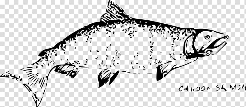 Drawing Chinook salmon Pink salmon Chum salmon Black and white, SALMON transparent background PNG clipart