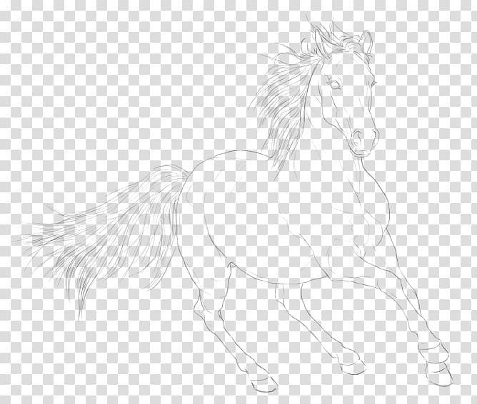 Mustang .to Stallion Pack animal Sketch, journal tail footer line transparent background PNG clipart