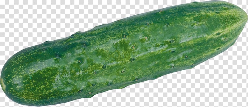 Cucumber transparent background PNG clipart
