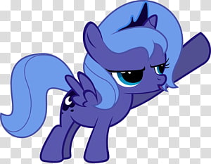 Cat Horse Pony Mammal Canidae, Cat transparent background PNG clipart thumbnail