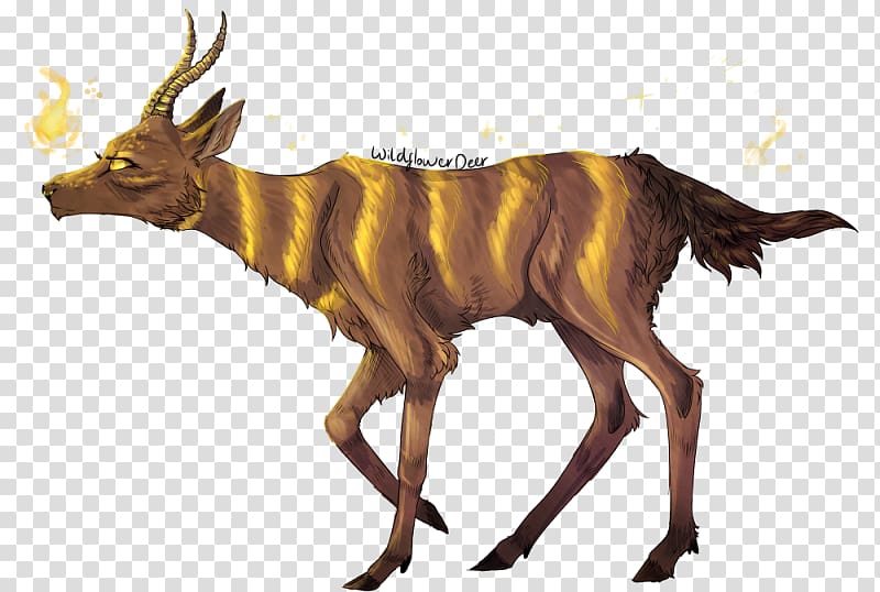 Cattle Antelope Elk Goat Wildlife, goat transparent background PNG clipart