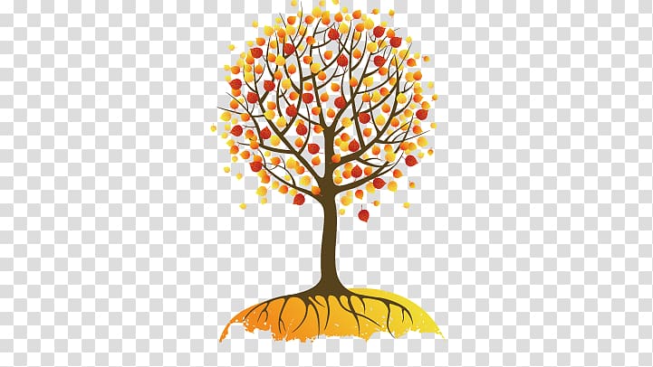 tree illustration, Tree Autumn , tree transparent background PNG clipart