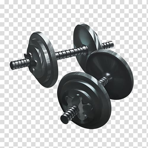 Exercise equipment Weight training Physical fitness Fitness centre, bodybuilding transparent background PNG clipart