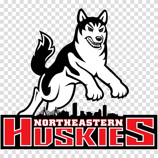 Northeastern University Rugby Club Dartmouth College University of Connecticut Northeastern Huskies men\'s basketball, husky transparent background PNG clipart