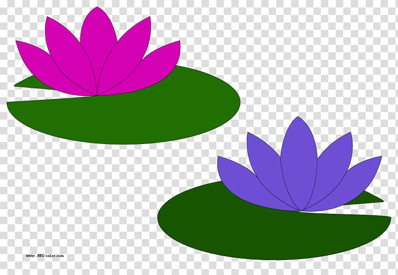 Water Lilies Le Bassin Aux Nymphxe9as Egyptian lotus Easter lily Nymphaea alba, Lilies transparent background PNG clipart