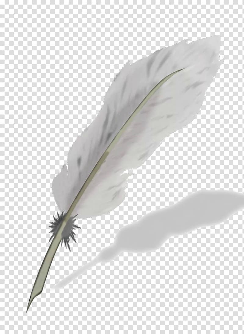 Feather Quill Nib Ballpoint pen, feather transparent background PNG clipart