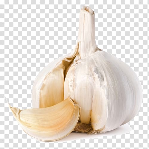 Garlic bread Clove Onion Vegetable, garlic transparent background PNG clipart