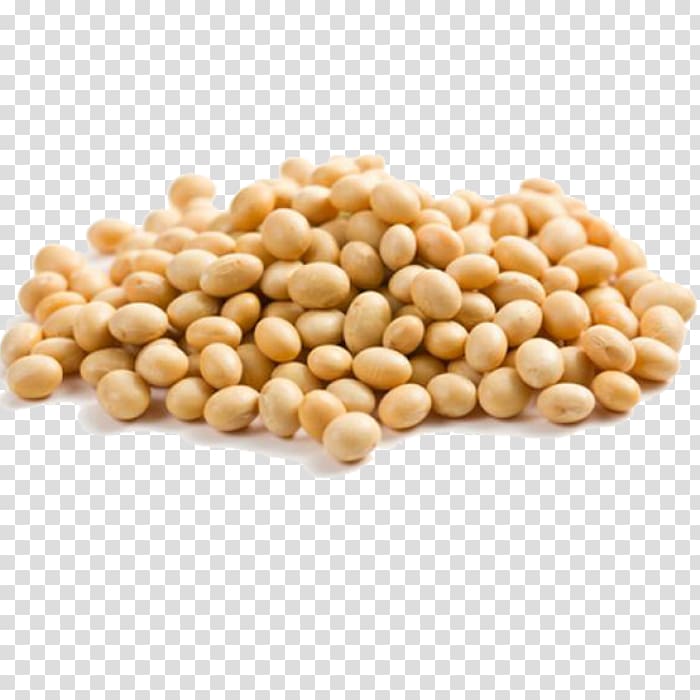 Soybean Soy milk Vegetarian cuisine Legume, white bean transparent background PNG clipart