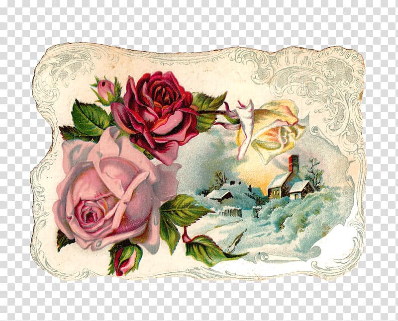 Rose Flower Vintage clothing Pink , vintage transparent background PNG clipart