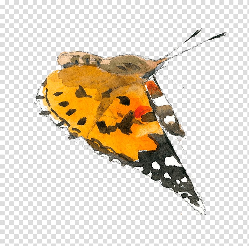 Butterfly Painted lady Pterygota Corn Autumn, baie de sureau transparent background PNG clipart