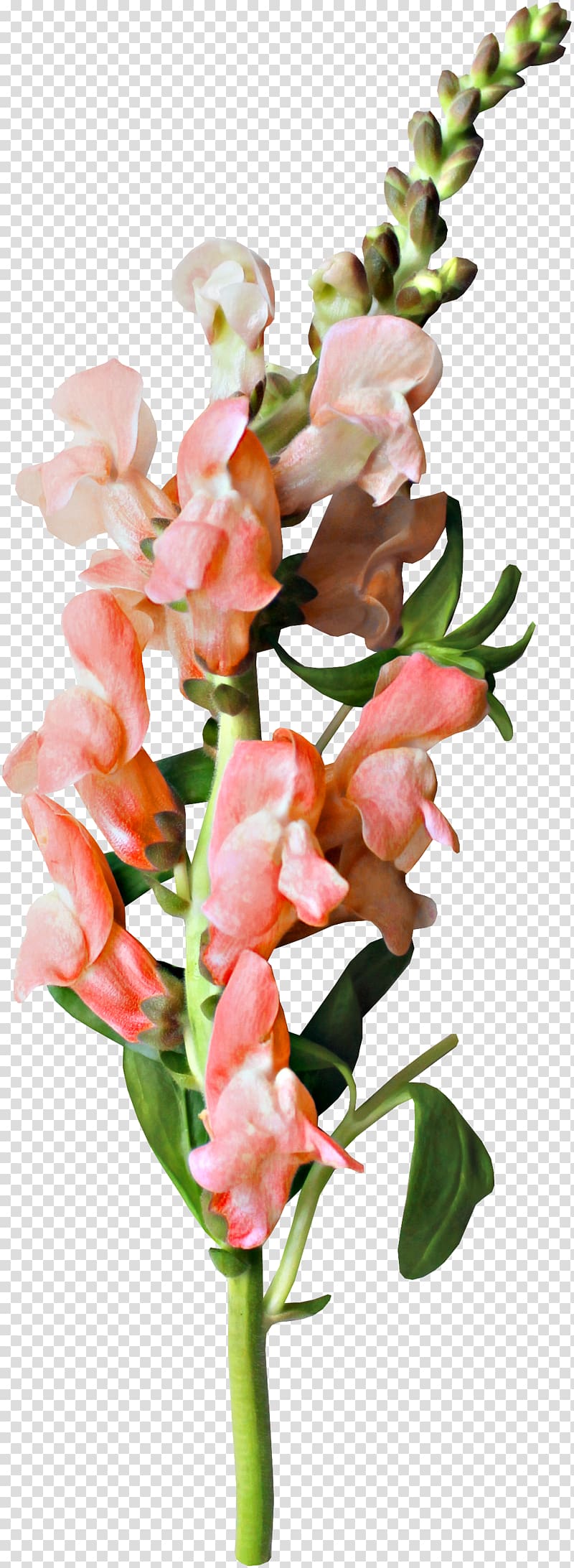 Flower , Beautiful bouquet of fresh flowers transparent background PNG clipart