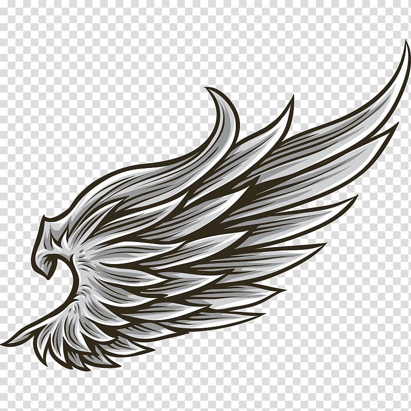 Drawing Angel wing, others transparent background PNG clipart