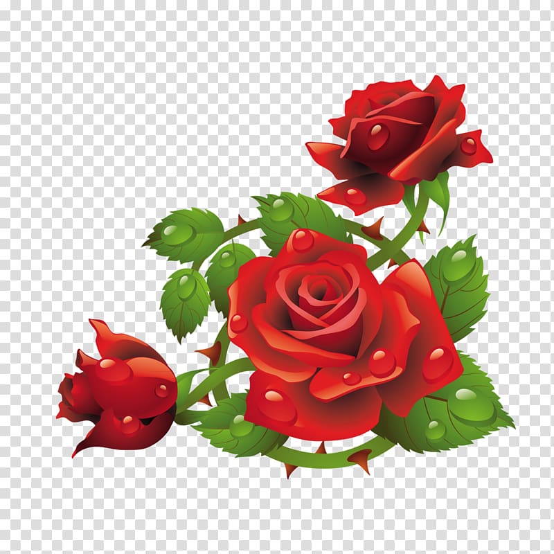 .xchng graphics Floral design Rose, rose transparent background PNG clipart