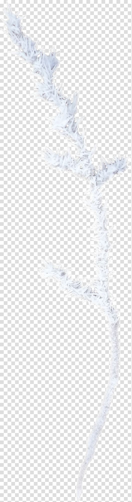 Paper Area Angle Pattern, Snow branch transparent background PNG clipart