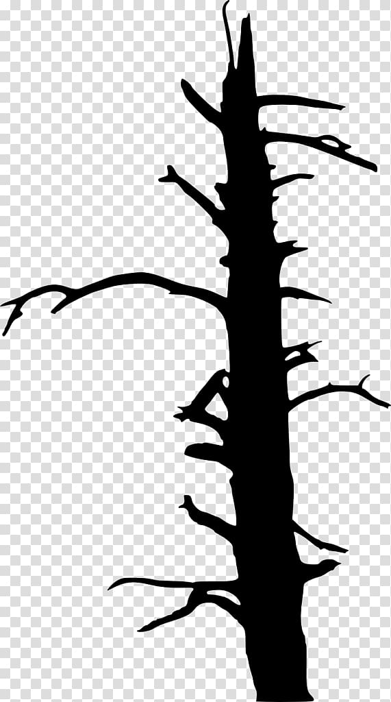 Twig Tree Drawing , dead tree transparent background PNG clipart ...