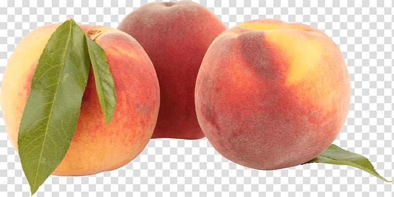 Nectarine Saturn Peach, Peach transparent background PNG clipart