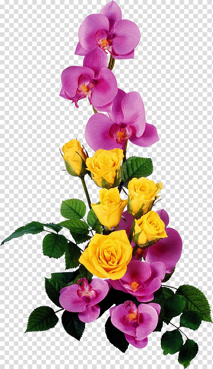 purple and yellow flowers illustration, , BUNGA transparent background PNG clipart