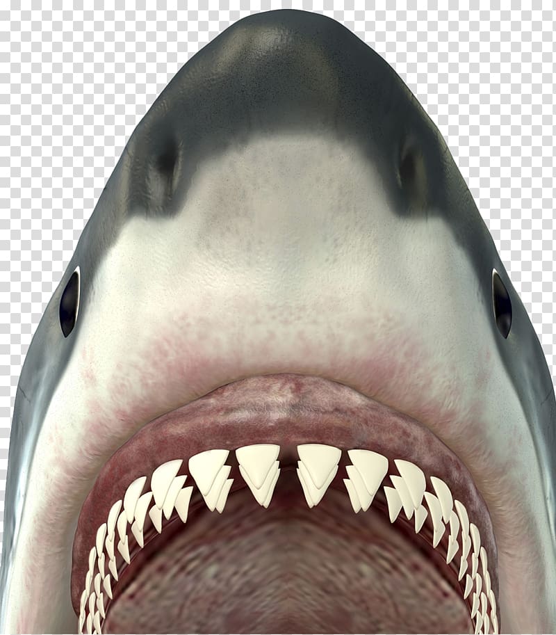 Shark Mouth Free Vector Clipart , Png Download - Bape Shark Png,  Transparent Png - 2287x891 PNG 