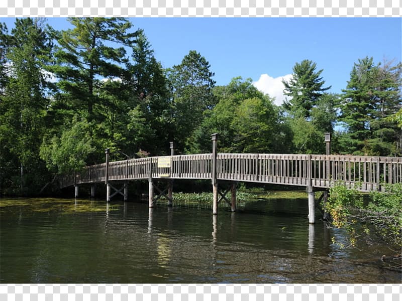 Beam bridge Property Nature reserve Wetland, bridge transparent background PNG clipart