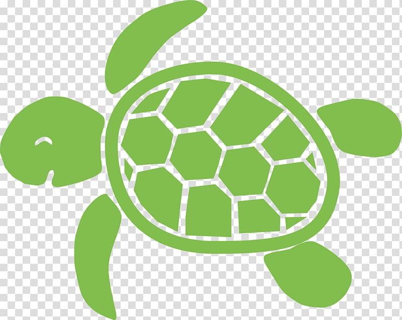 Sea turtle Tortoise , turtle transparent background PNG clipart