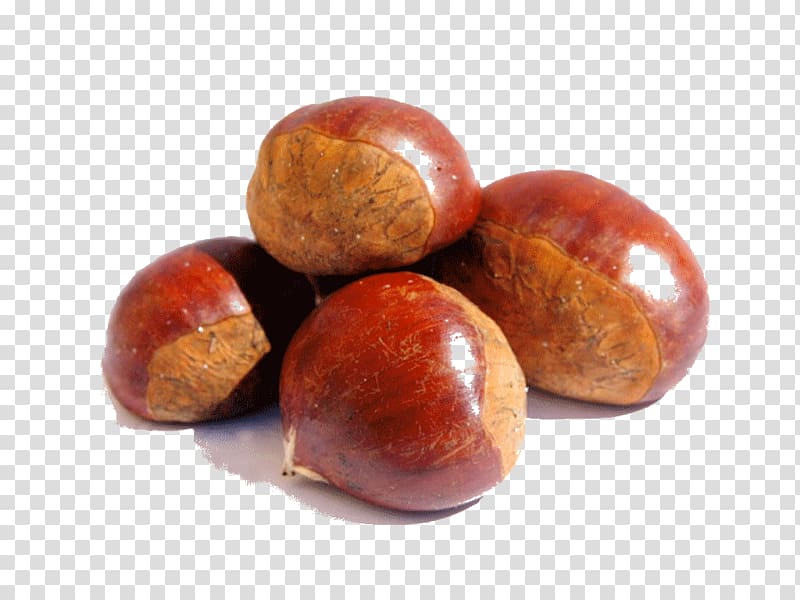 Chinese chestnut Dried Fruit Food American chestnut Boletus, others transparent background PNG clipart