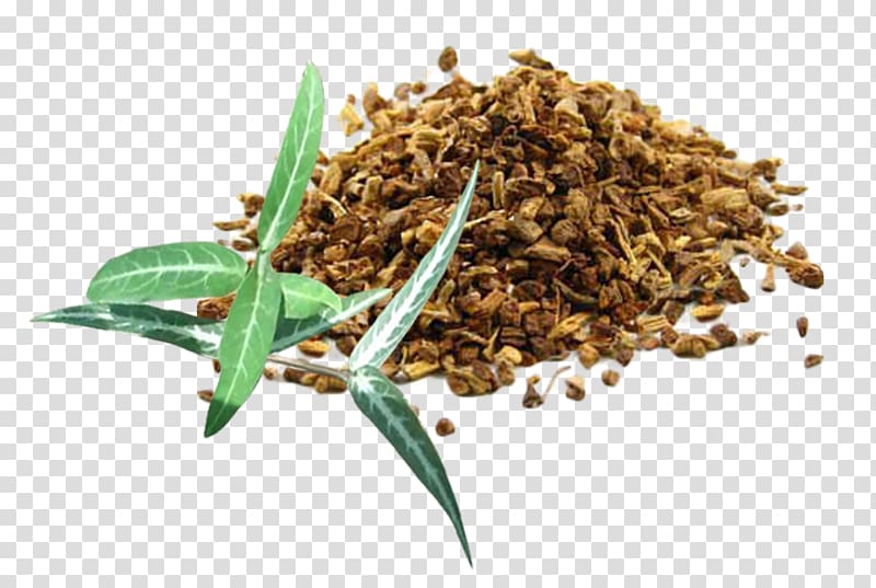 Hemidesmus indicus Jamaica sarsaparilla Herb Medicinal plants, cinnamon bark transparent background PNG clipart
