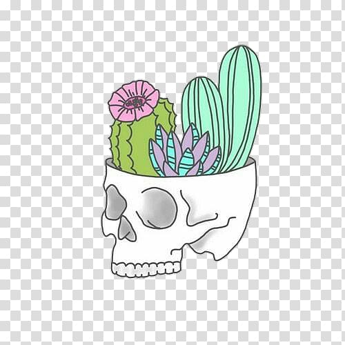 Cactus et succulentes Succulent plant Drawing Sticker, cactus transparent background PNG clipart