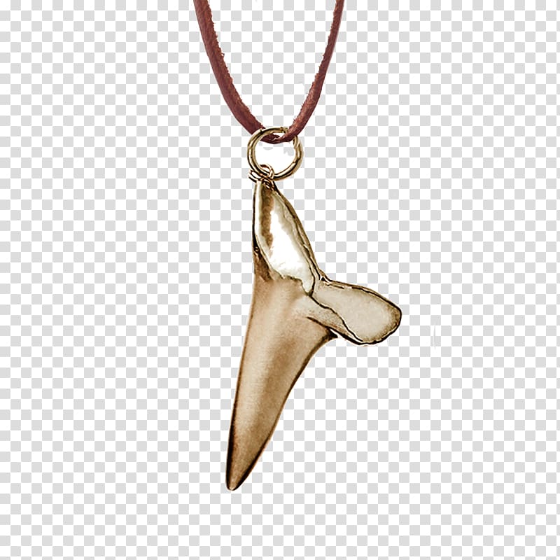 Charms & Pendants Shark tooth Jewellery Necklace, Shark Tooth transparent background PNG clipart