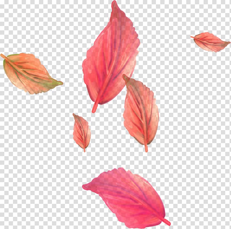 Leaf Lossless compression , Leaf transparent background PNG clipart