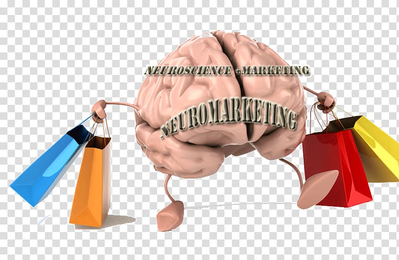 Neuromarketing Neuroscience Brain Color psychology, Marketing transparent background PNG clipart