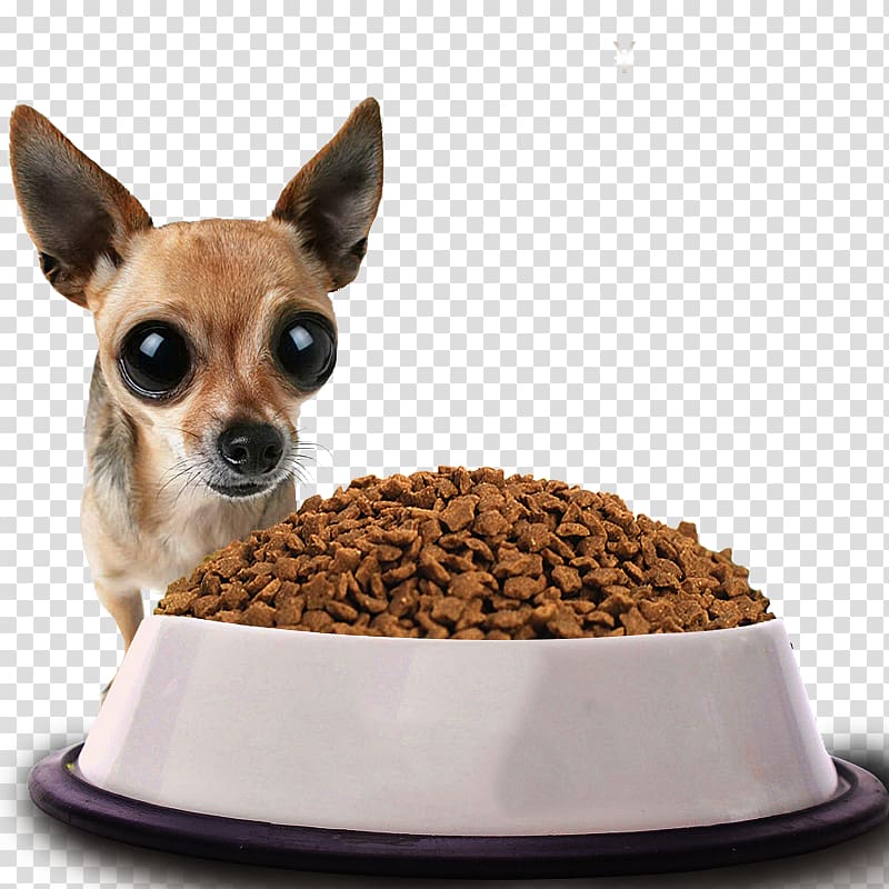 Dog Puppy Display resolution , Puppy eating dog food Fig. transparent background PNG clipart