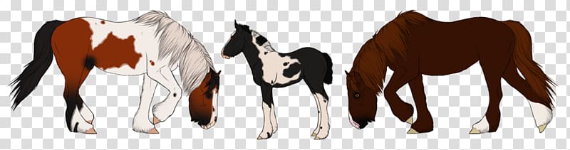Mustang Foal Colt Stallion Mare, Gypsy Horse transparent background PNG clipart