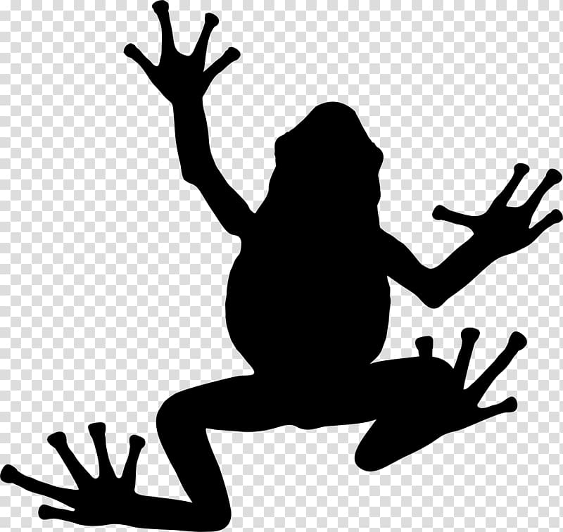 Tree frog Silhouette Toad, black pasture silhoute transparent background PNG clipart