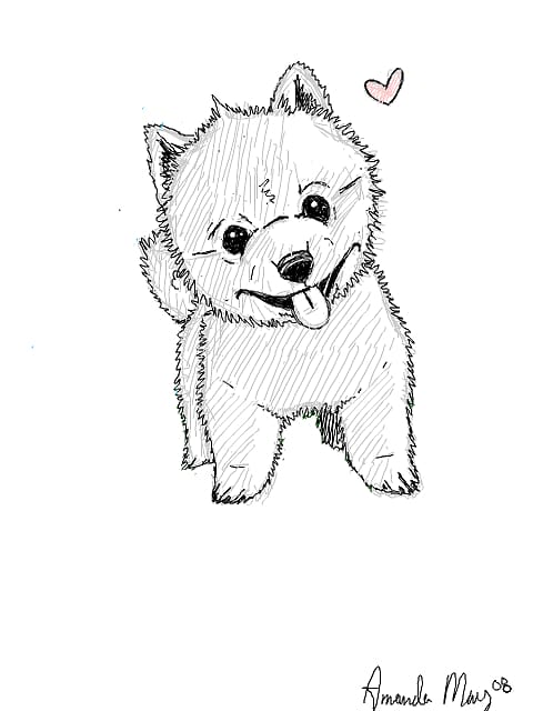 German Shepherd Chow Chow Puppy Drawing Sketch, Drawings Of Dog transparent background PNG clipart