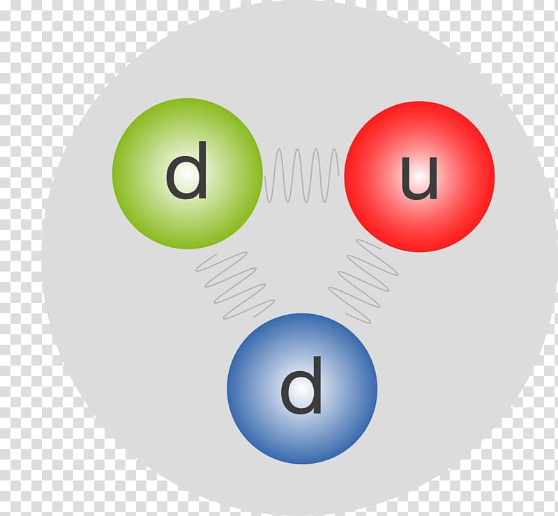 Proton Neutron Standard Model Strong interaction Atomic nucleus, quark transparent background PNG clipart