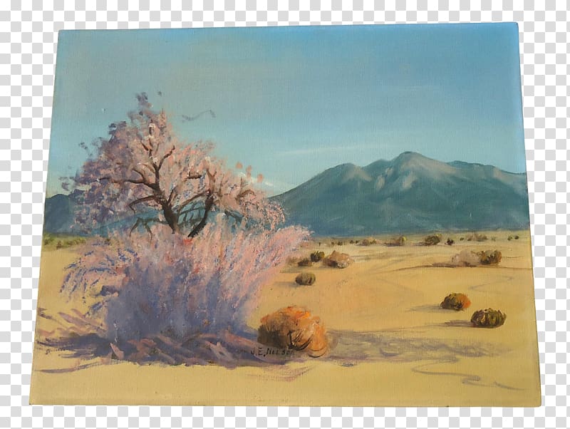 Desert Painting Ecoregion Sky plc, desert transparent background PNG clipart
