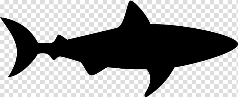 Great white shark Silhouette , Shark head transparent background PNG clipart
