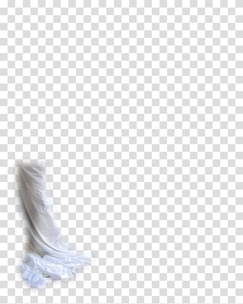 Shoe Neck Feather, swan dance transparent background PNG clipart
