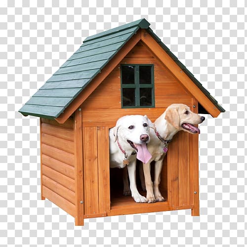 Dog Houses Puppy, Dog transparent background PNG clipart